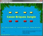 Casse Briques Jungle