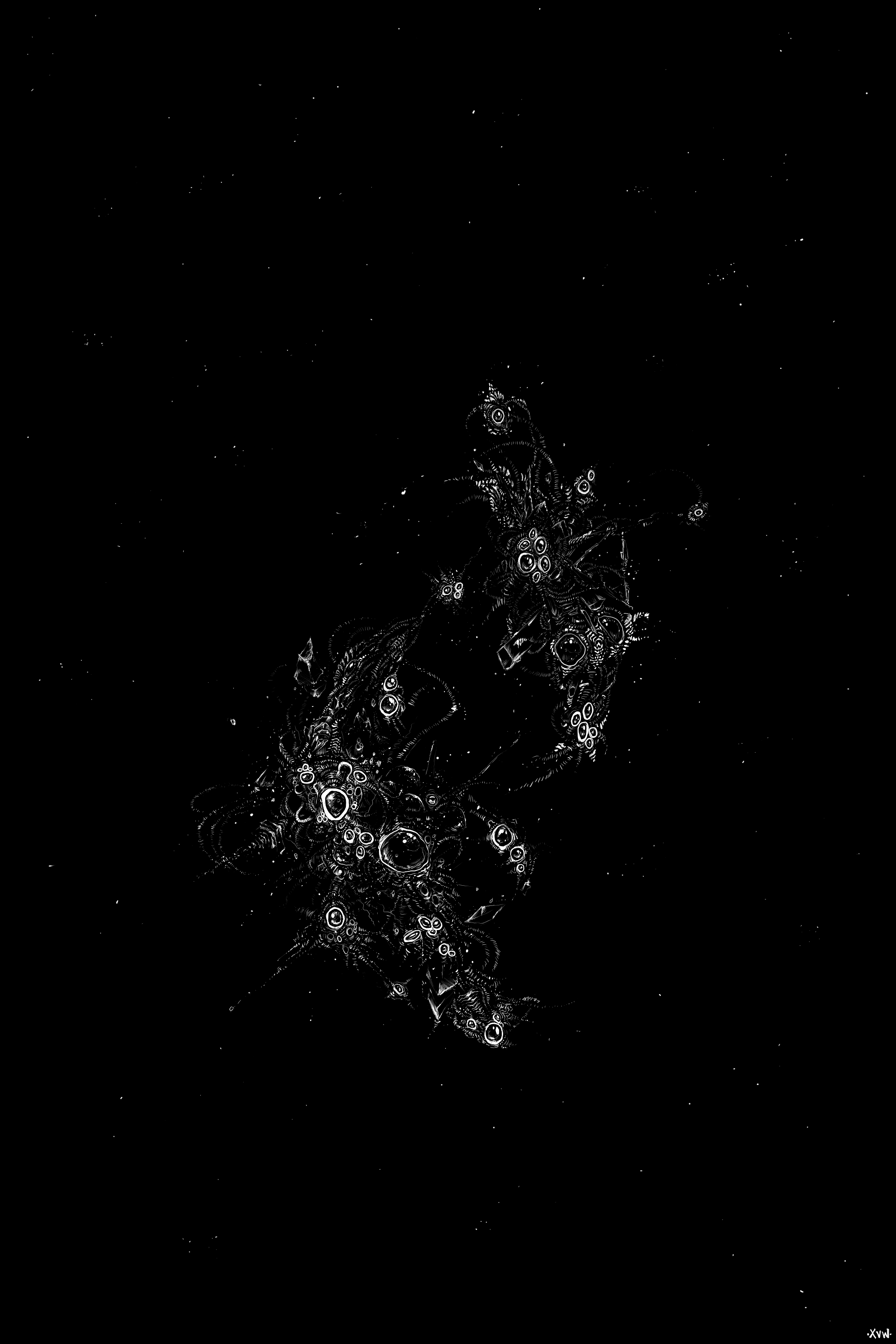 L'image est affich�e ici