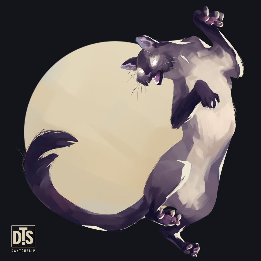 L'image est affich�e ici