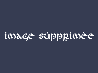 L'image est affich�e ici