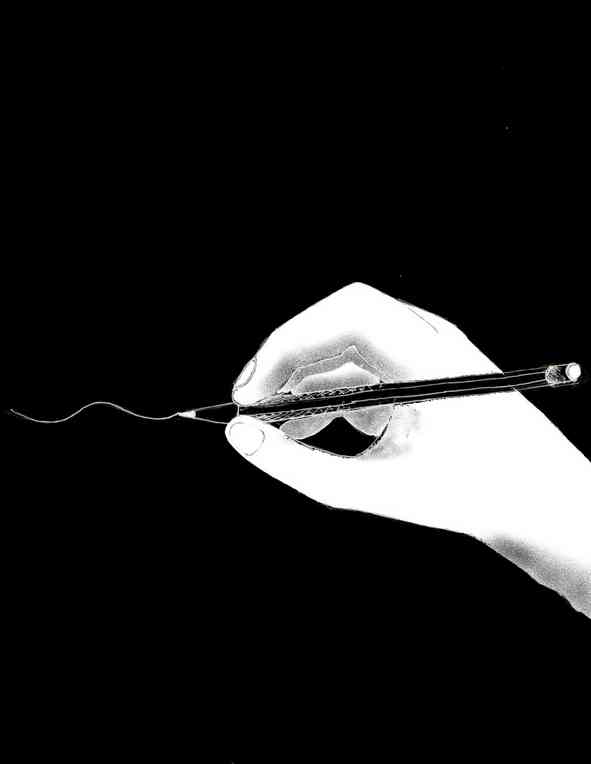 L'image est affich�e ici