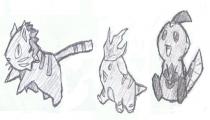 PKMN DT - Starters