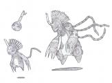PKMN DT - Pokemon bambou