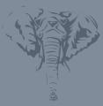Une &eacute;l&eacute;phant