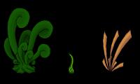 Faune/Flore2