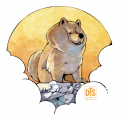 Chow-chow