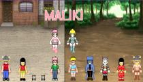 Maliki et ces amis