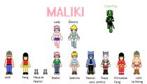 Model Sprite de l'&eacute;quipe Maliki