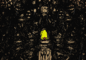 intro rebbot 2