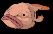 Le Luchador -Creature Bob fish