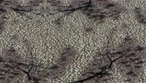 une terre aride vu du ciel