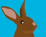Un Lapin