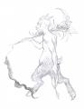 Faune