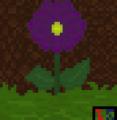 Flower 8'D