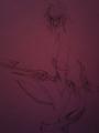 Shura
