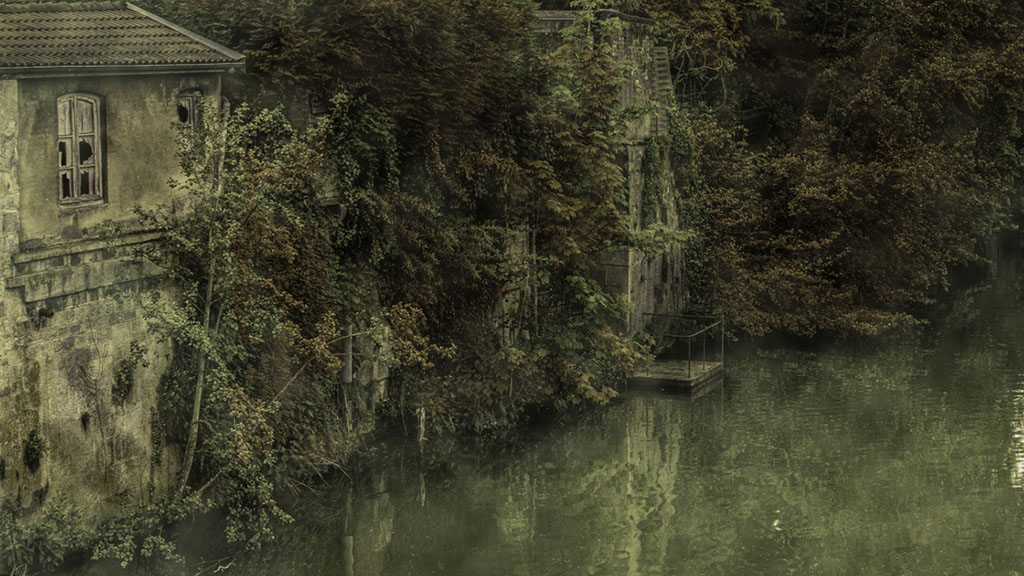 L'image est affich�e ici