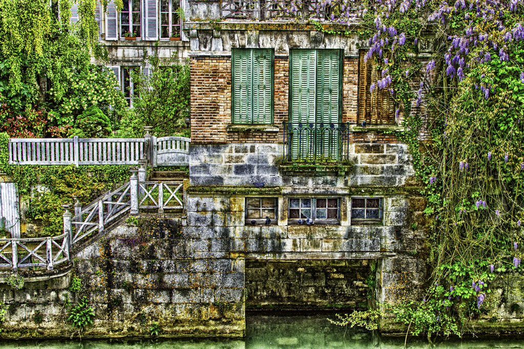 L'image est affich�e ici