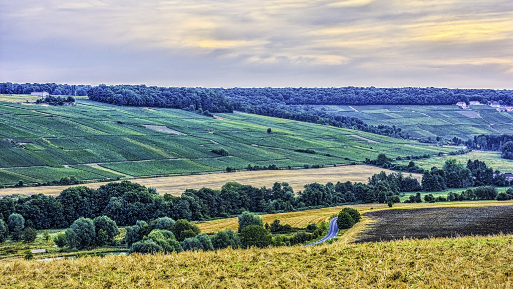 L'image est affich�e ici