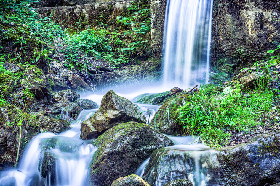 L'image est affich�e ici