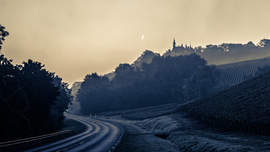 L'image est affich�e ici