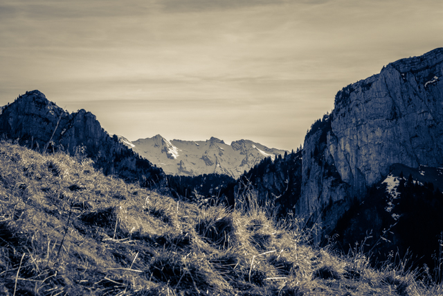 L'image est affich�e ici