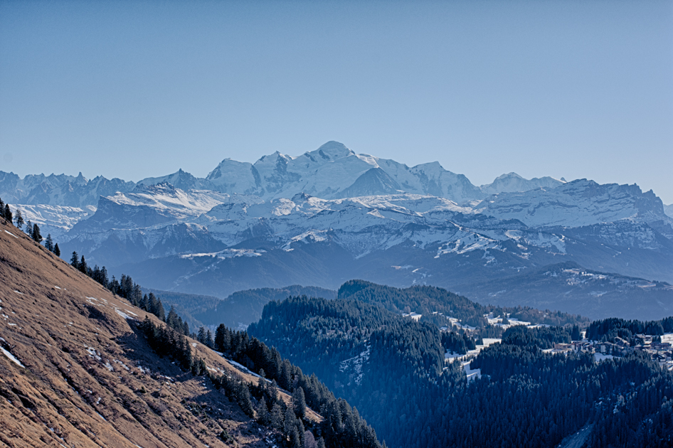 L'image est affich�e ici