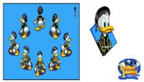 miror donald