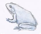 Blue frog