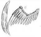 ailes 2