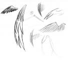 ailes 3