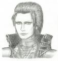 Jia Chong - Dynasty Warriors
