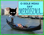 Miau