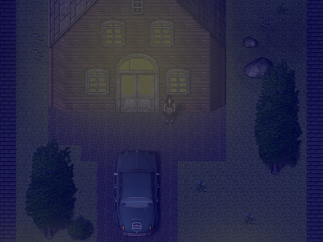 L'image est affich�e ici