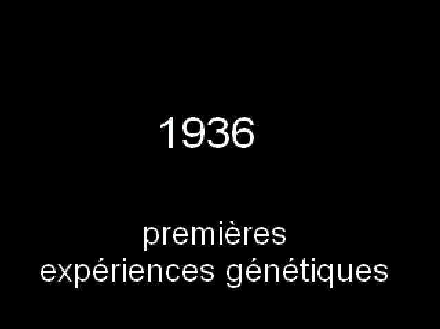 L'image est affich�e ici