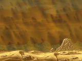 Desert