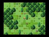For&ecirc;t