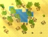 Oasis