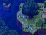 Nuit