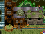 Village Elfique