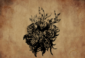 fleurs