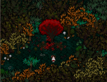 L'arbre rouge