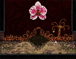 Orchid�e