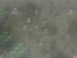 Un cimeti&egrave;re