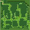 For&ecirc;t