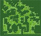 Une autre for&ecirc;t !