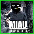 Fond d'&eacute;cran de mon jeu actuel