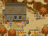 Pumpkin Season