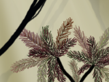 Recherche graphique 4