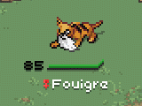 PKMN DT