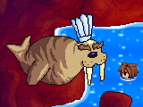 Monsieur Spacudi